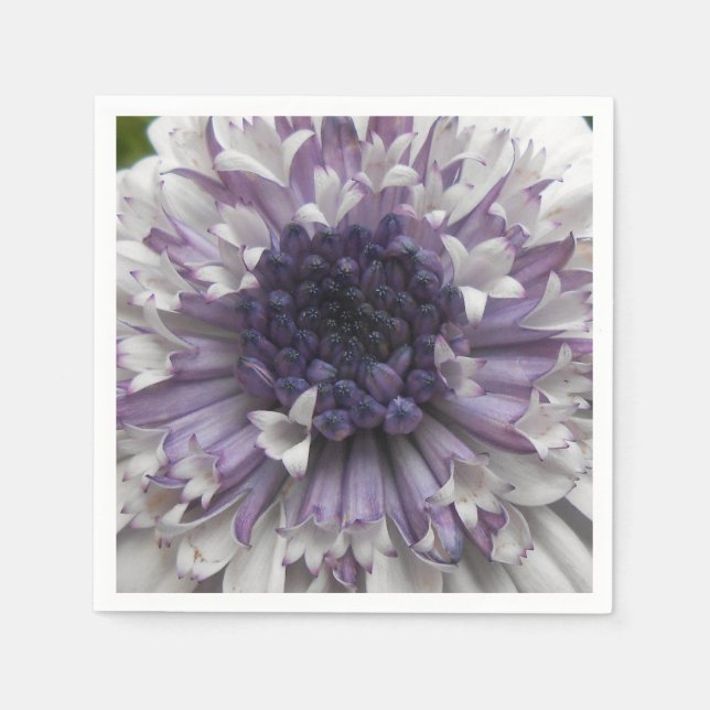 Brett Napkin (Front)