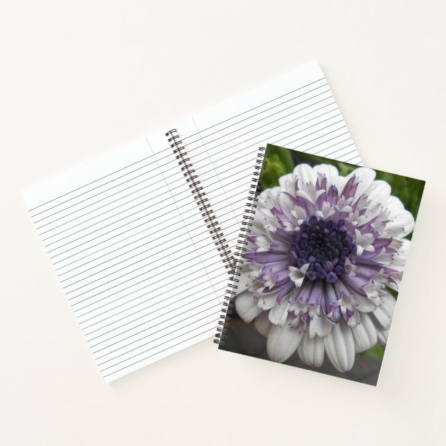 Brett Notebook (Inside)