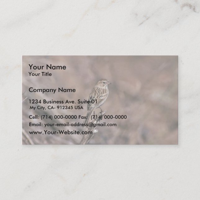Brewer's sparrow business card (Front)