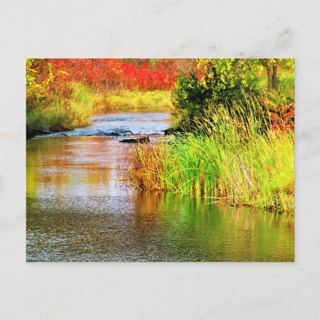 Brewery Creek in Autumn Sunny Day Scenic  Postcard (Front)