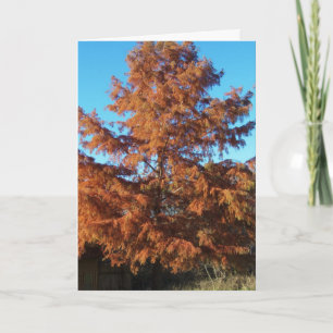 Brian's Tree, AutumnPoem Card