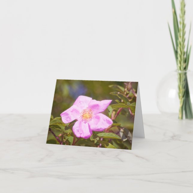 Briar Rose Card (Front)