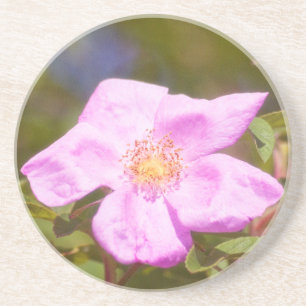 Briar Rose Coaster