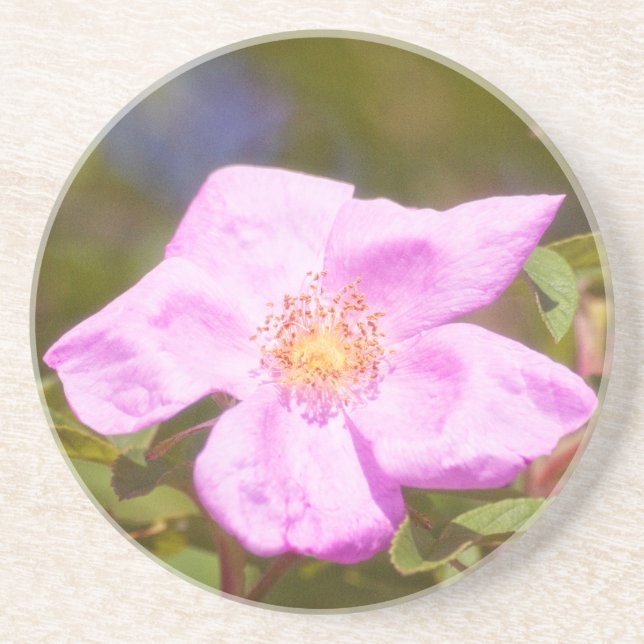 Briar Rose Coaster (Front)
