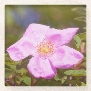 Briar Rose Glass Coaster