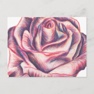 Briar Rose Postcard