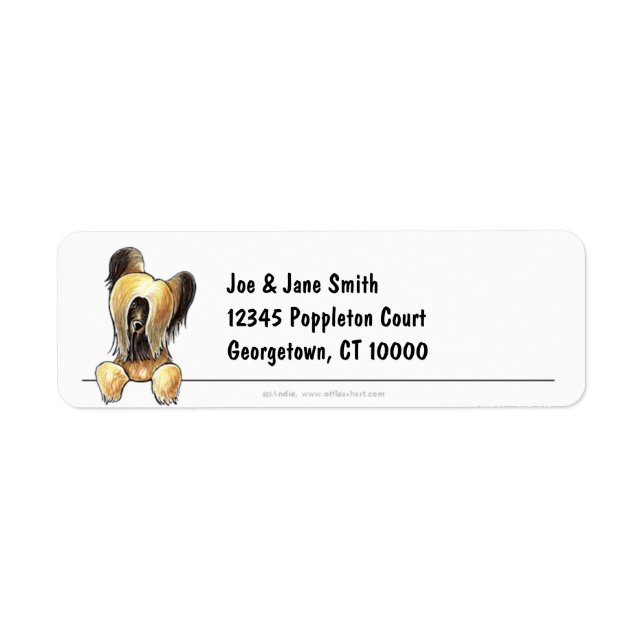 Briard Clean and Simple Return Address Label (Front)