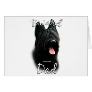 Briard Dad 2