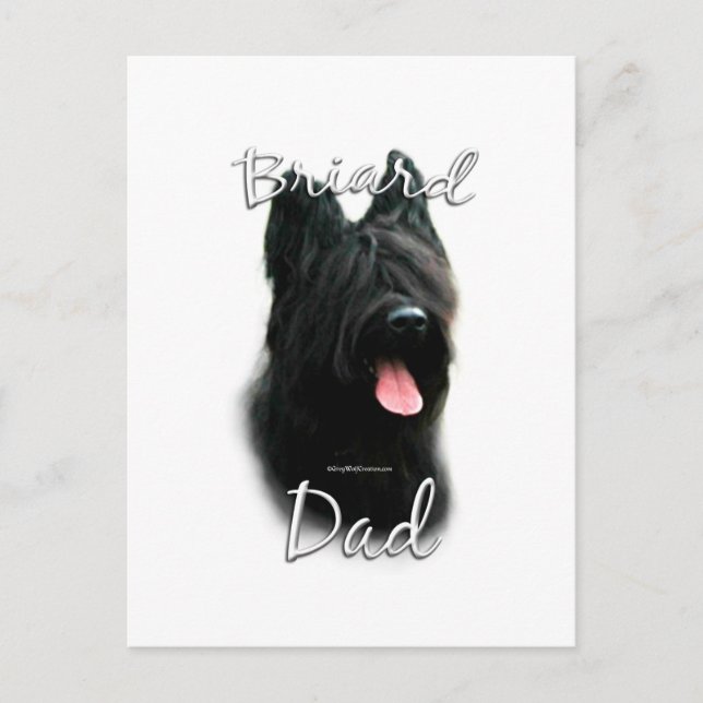 Briard Dad 2 Postcard (Front)