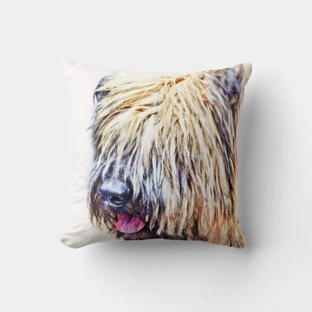 Briard dog cushion (Front)