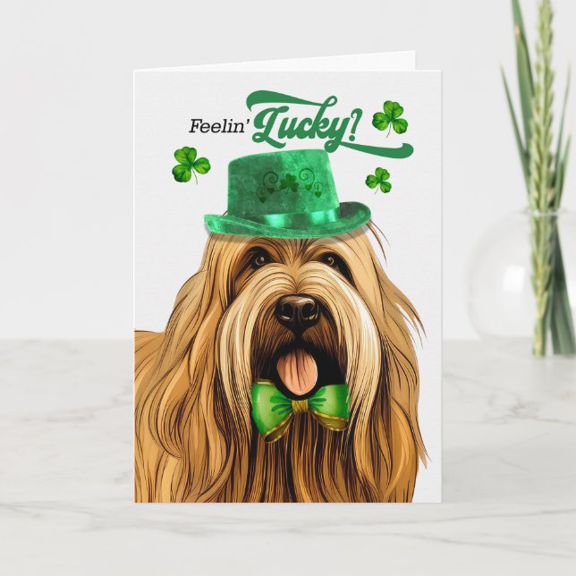 Briard Dog Feelin' Lucky St Patrick's Day Holiday Card (Front)