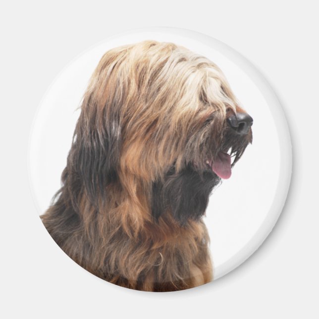 Briard fauve 3 magnet (Front)