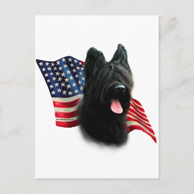 Briard Flag Postcard (Front)
