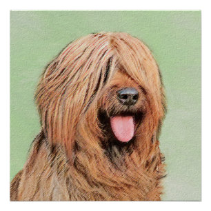 Briard Painting - Cute Original Dog Art Poster
