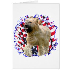 Briard Patriot