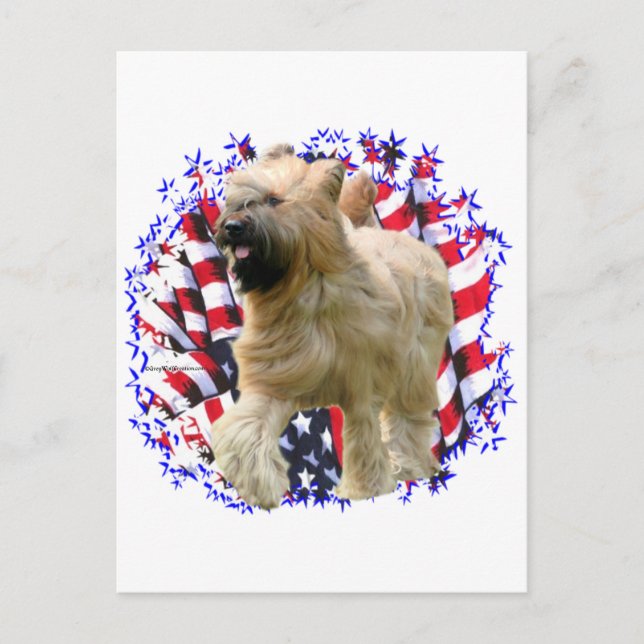 Briard Patriot Postcard (Front)