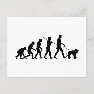 Briard Postcard