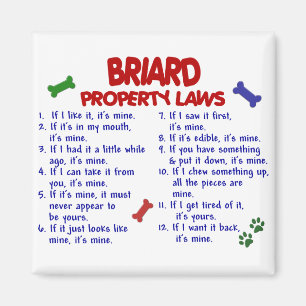 BRIARD Property Laws 2 Magnet