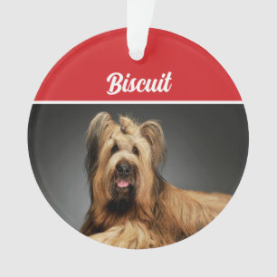 Briard Shepherd Dog Holiday Photo Christmas Ornament