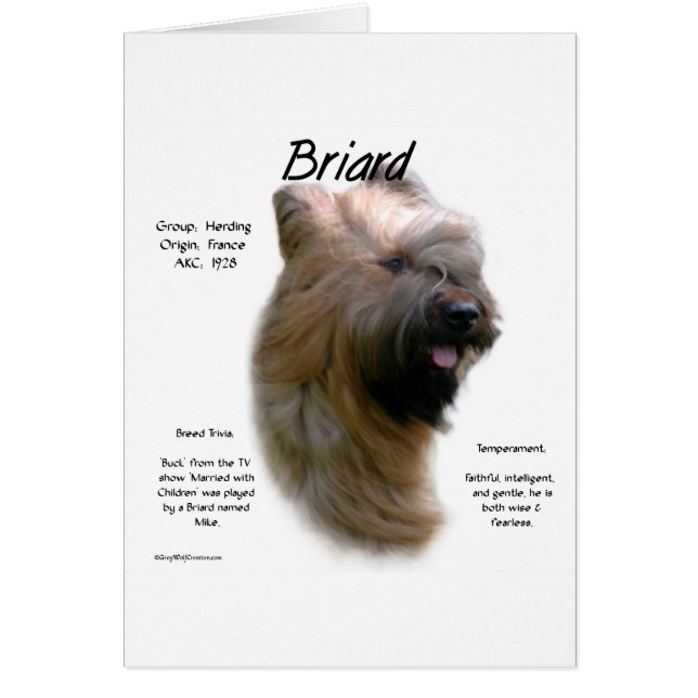 Briard (tawny) History Design (Front)