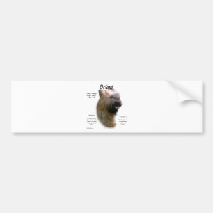 Briard (tawny) History Design Bumper Sticker