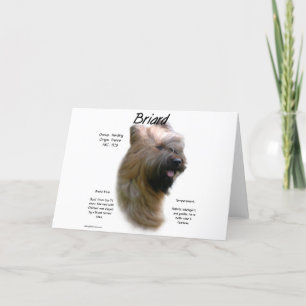 Briard (tawny) History Design Holiday Card