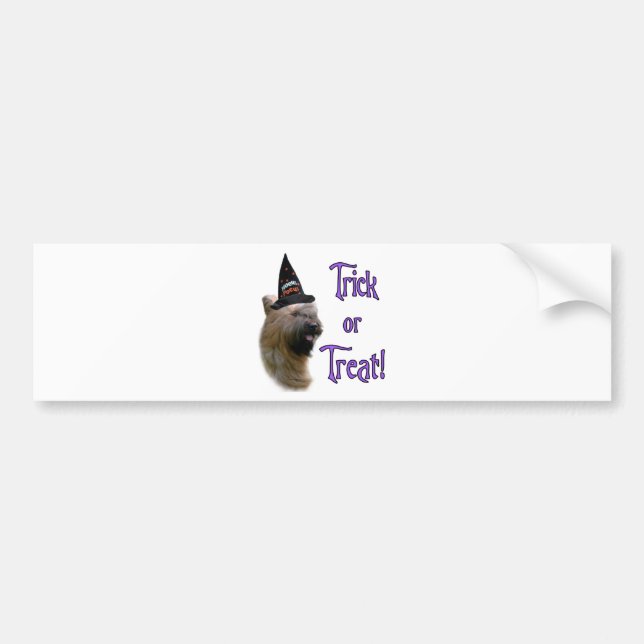 Briard Trick Bumper Sticker (Front)