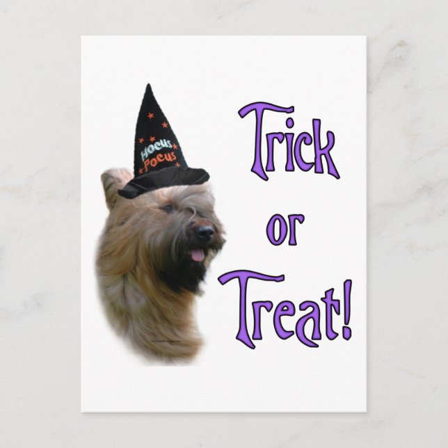 Briard Trick Postcard (Front)
