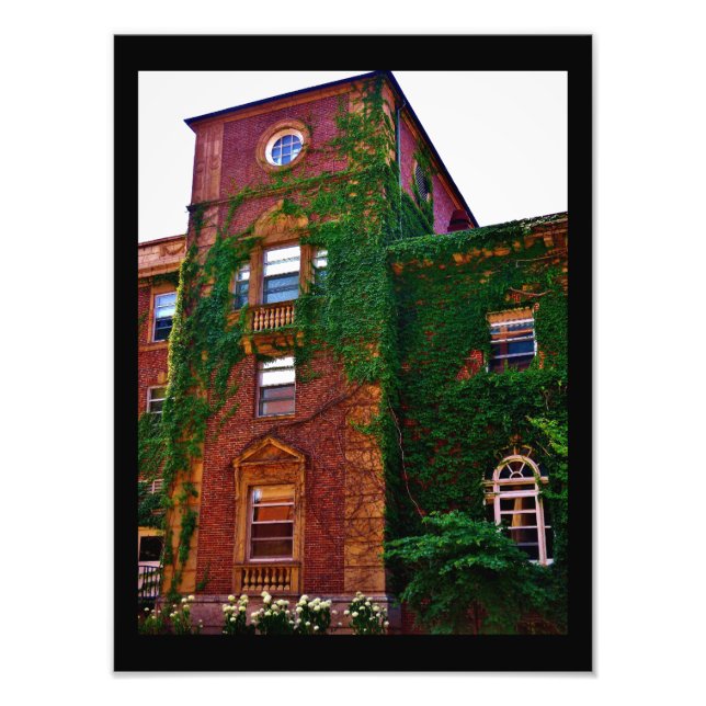 Brick Building Photo Print (Front)