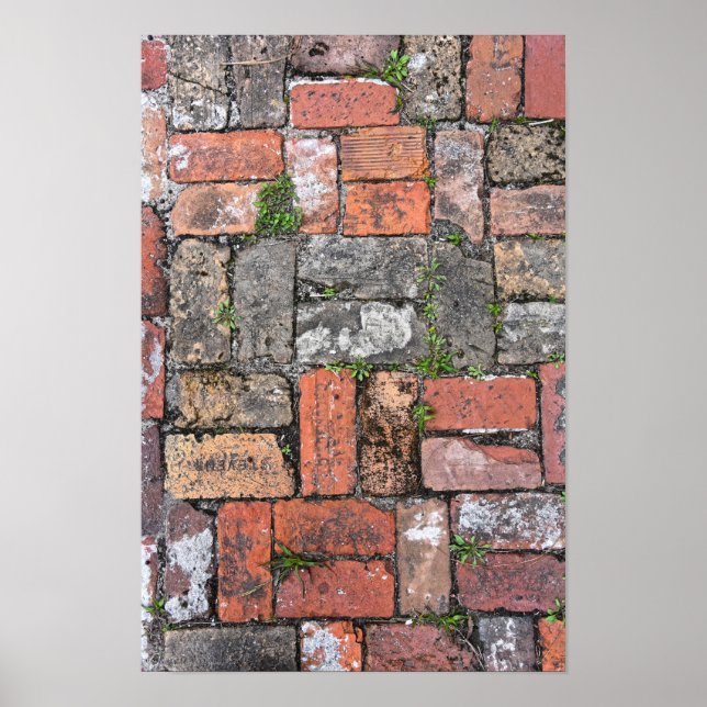 Brick Sidewalk, Apalachicola, Florida Poster (Front)