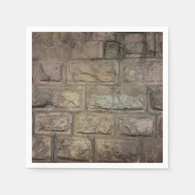 Brick Standard Cocktail Paper Napkins (Front)