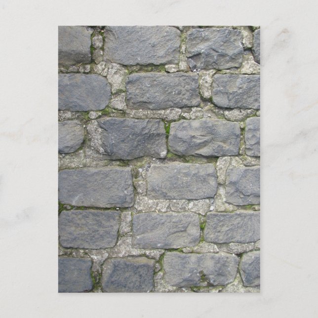 Brick Wall postcard, customise Postcard (Front)