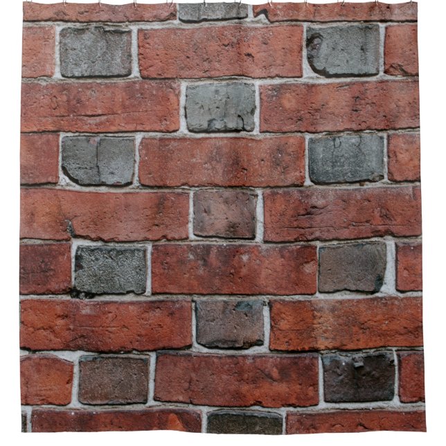 Brick wall shower curtain (Front)