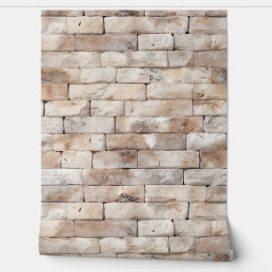 Brick wall texture 7