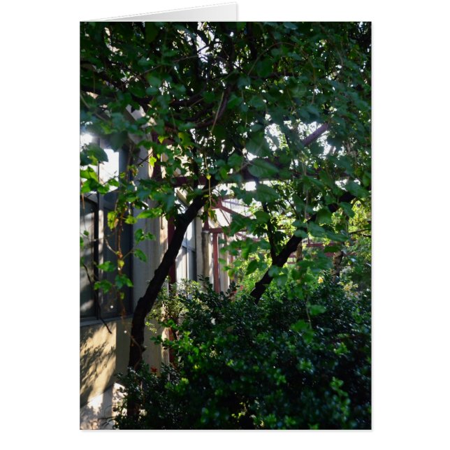 Brickbottom Couryard (Front)