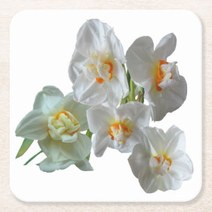 Bridal Crown Daffodils Close Up Paper Coaster