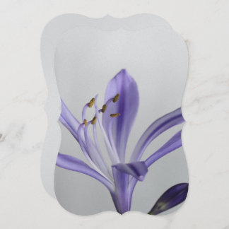 Bridal Shower Party Destiny's Destiny Invitation