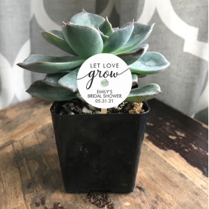 Bridal SHOWER Succulent Favour Classic Round Sticker