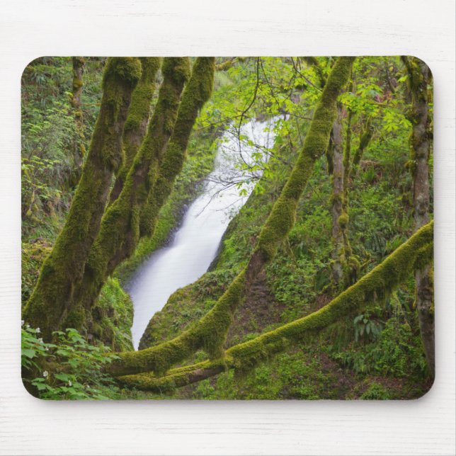 Bridal Veil Falls Mouse Pad (Front)