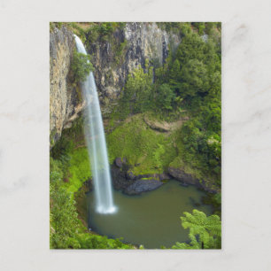 Bridal Veil Falls, New Zealand Postcard