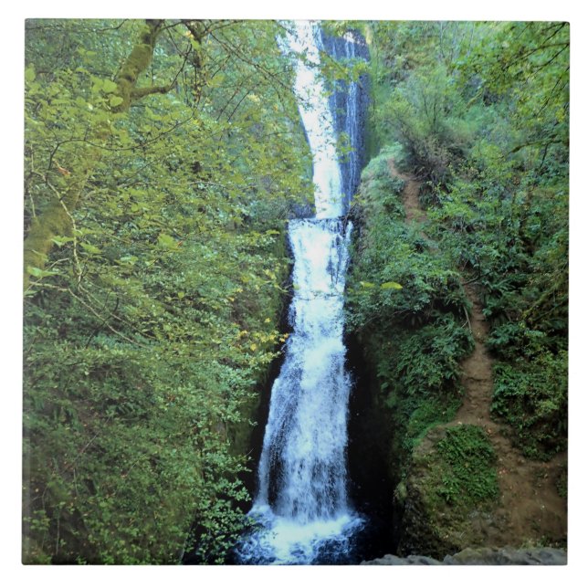 Bridal Veil Falls, OR Ceramic Tile (Front)