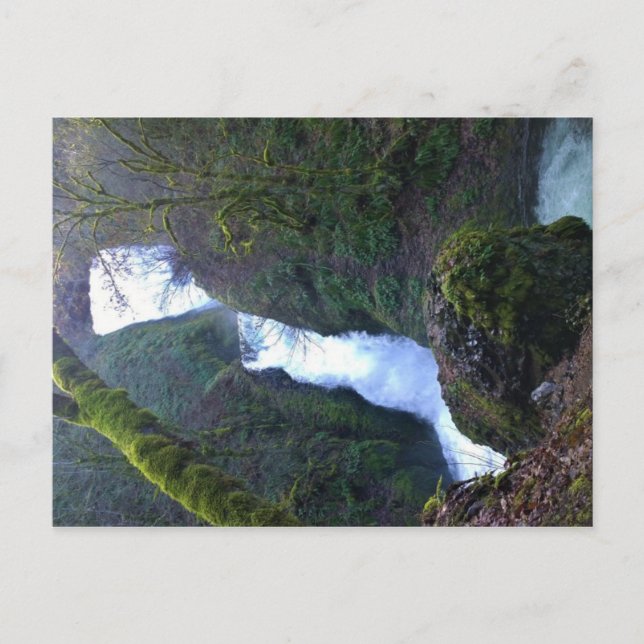 Bridal Veil Falls, Oregon Postcard (Front)