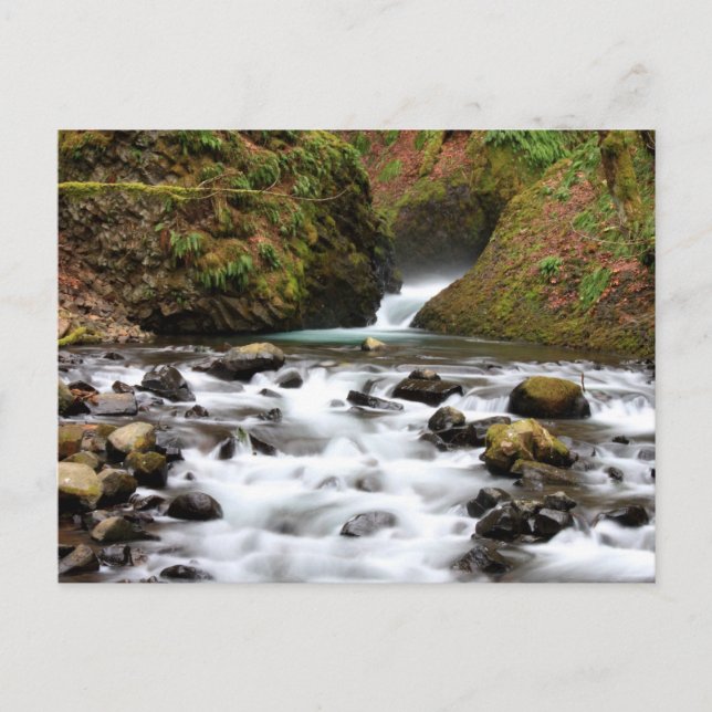 Bridal Veil Falls Oregon Waterfall Postcard (Front)