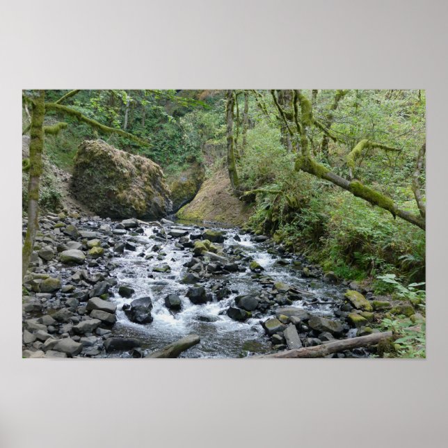 Bridal Veil Falls Trail, Oregon Poster (Front)