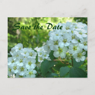 Bridal Wreath Save the Date Announcement Postcard