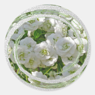 Bridal Wreath Spirea Flowers Stickers