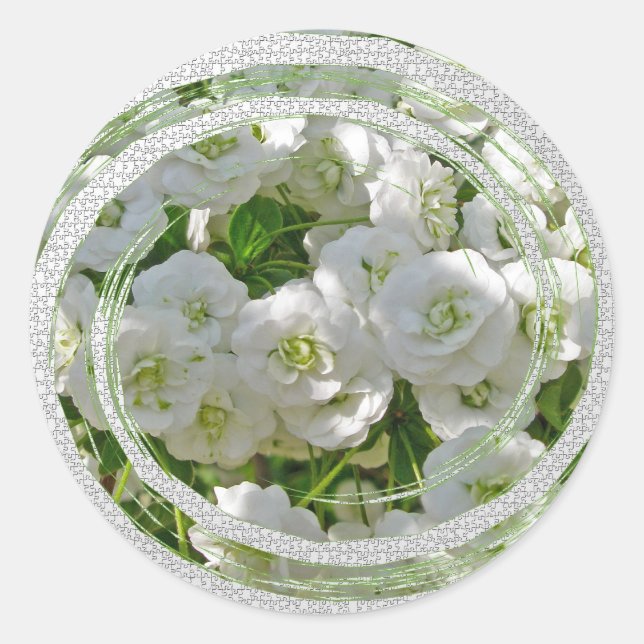 Bridal Wreath Spirea Flowers Stickers (Front)