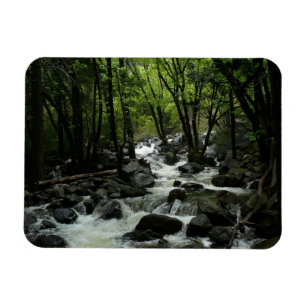 Bridalveil Creek in Yosemite National Park Magnet