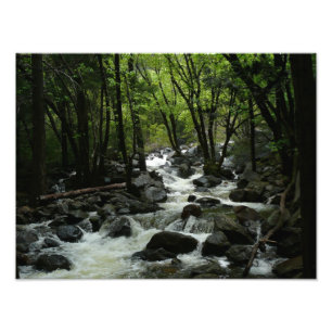 Bridalveil Creek in Yosemite National Park Photo Print