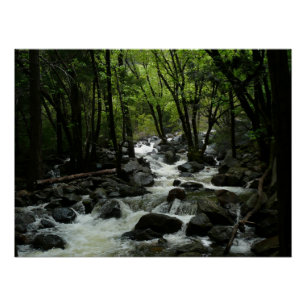 Bridalveil Creek in Yosemite National Park Poster